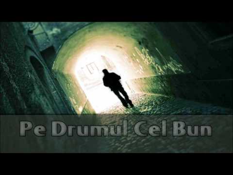 The Mosh - Seara Asta