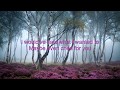 Lady Gaga, Bradley Cooper - I'll Never Love Again Lyrics Lady Gaga, Bradley Cooper - I'll Never Love Again Lyrics