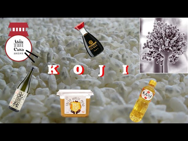 Vídeo relacionado con Kensho | Genmai Koji | Arroz Integral Koji Artesanal | Macrobiótico | Especial comida Japonesa | Necesario para elaborar Sakes y Salsas| 500gr