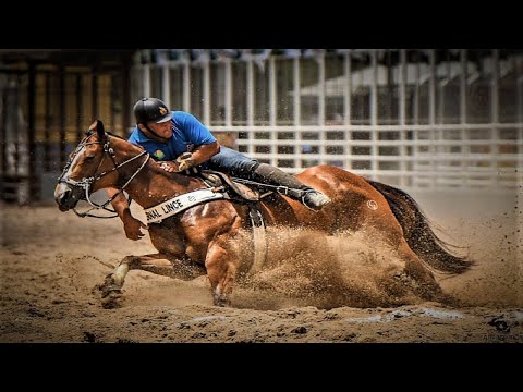 Xand Avião - Forró e Vaquejada