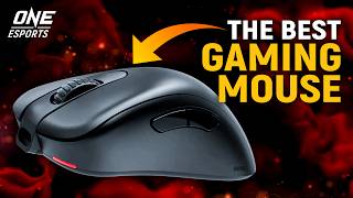Why Zowie's U2 Mouse is TOP TIER