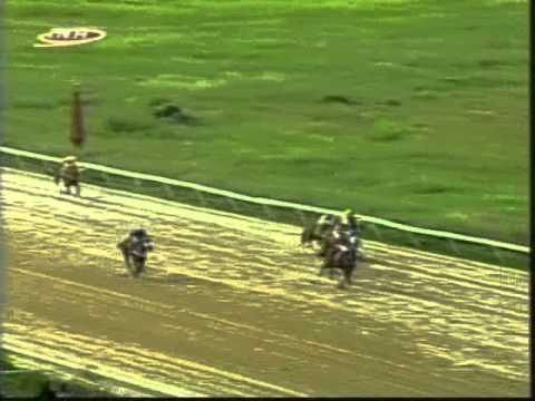 Resumen Viernes, 07 de Noviembre de 2014 - Valencia