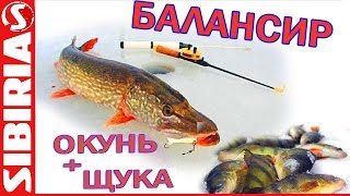 Зимняя рыбалка в красноярске на щуку