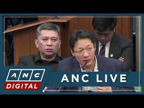 Curlee Discaya: 'Parang kami ang ninakawan; yung ninakawan ba magbibigay sa nagnakaw?' | ANC