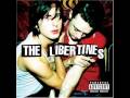 the libertines - dreaming of you 