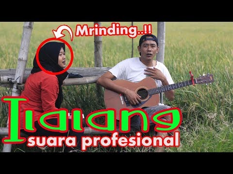 LEK JONO GITARAN NEK SAWAH..!! ILALANG - KAYAK PENYANYI ASLINE