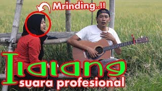 Download lagu LEK JONO GITARAN NEK SAWAH..!! ILALANG - KAYAK PENYANYI ASLINE mp3 Download lagu LEK JONO GITARAN NEK SAWAH..!! ILALANG - KAYAK PENYANYI ASLINE mp3