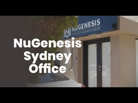 Inside Our Sydney Office