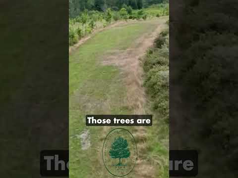 Permaculture Design: Digital Mapping for Site Analysis