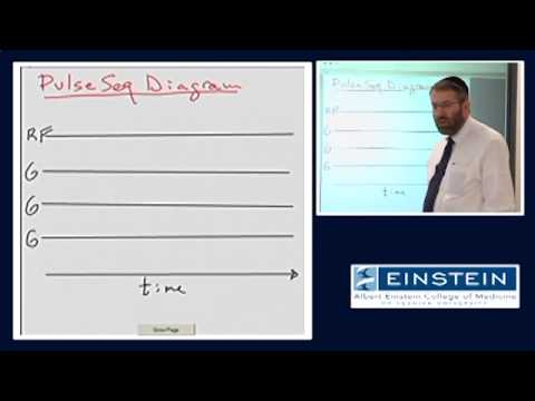 Introducing MRI: Introduction to Pulse Sequences (30 of 56)