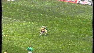 preview picture of video 'Munster Senior Hurling Final 1995 (1 of 6)'