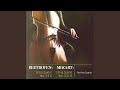 String Quartet No. 4 in C Minor, Op. 18: III. Menuetto. Allegretto