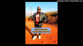 Download lagu LUWIS MANYENGA - VASIKANA VECHISENGWANA by Ngwenya Mundau 🇲🇿 mp3