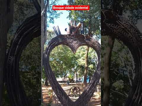 bosque ,na floresta a alma respira em paz.