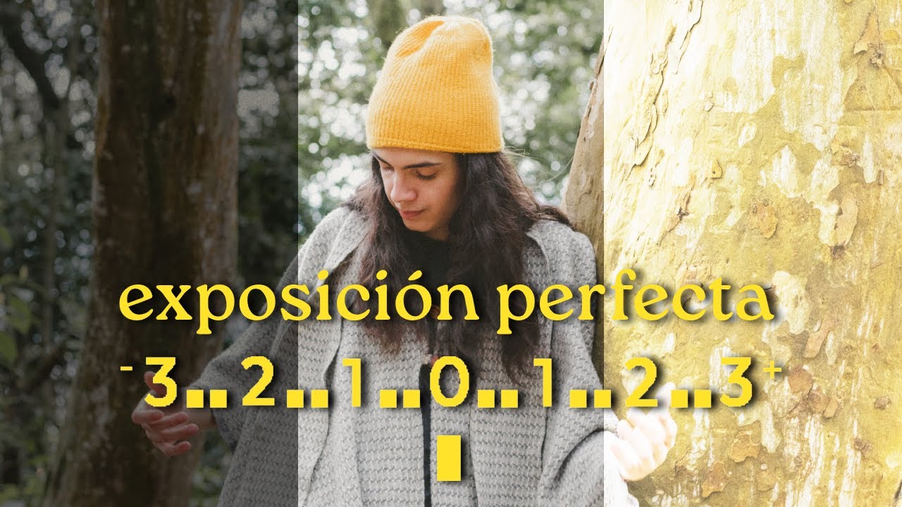 COMPENSACIÓN DE EXPOSICIÓN explicada | Fotos con ILUMINACIÓN PERFECTA