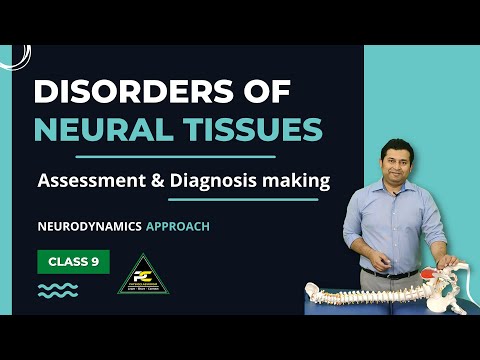 Conceptual Framework of Neurodynamics Treatment Approach The 3 Part System