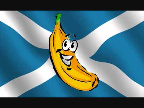 Paddyrasta - Fair Trade Bananas