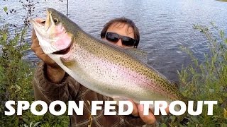 preview picture of video 'How to catch Rainbow Trout with Spoon'
