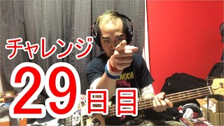 【SKUNKSノボルの】ベース初心者が100日間ベースを弾いたらどれほどれほどうまくなるのか？ 29日目【チャレンジ動画】