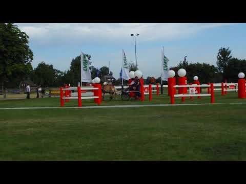 Fahrturnier Ostenfelde 15.8.2021