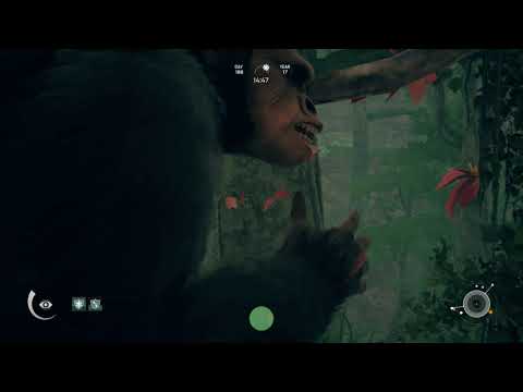 Ancestors The Humankind Odyssey (No Commentary) Part 8 PC-Let's play