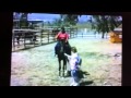 Fat Girl Bucked Off Horse AFV Original