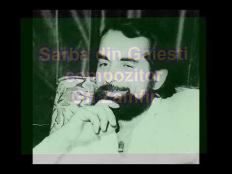 Sarbe de concert ~ Nelu Stefan ~  world harmonica