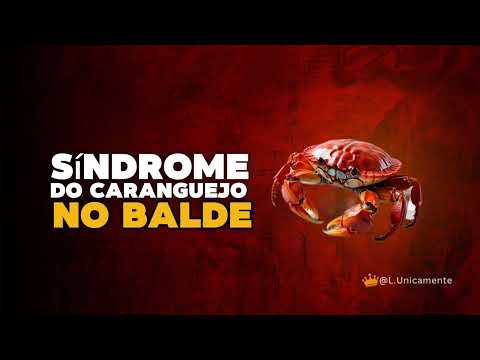 Síndrome do Caranguejo no Balde: Como as pessoas te sabotam.