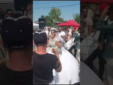 Ali Sultanu - Live Tobe Mireasa Turceste 🇹🇷