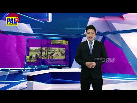 Ratusan Meter Kabel Lampu Jalan Protokol Prabumulih Dicuri