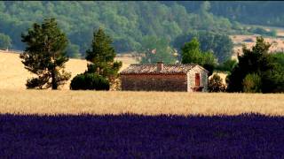 Perfect Provence