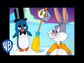 Looney Tunes Detour Before Miami Classic Cartoon WB Kids
