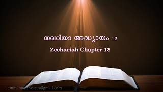 Zechariah Chapter 12(സഖറിയാ അദ്ധ്യായം 12) (POC Bible Malayalam)