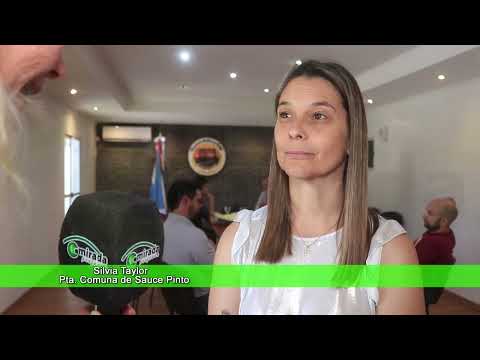 SAUCE PINTO - ENTRE RÍOS