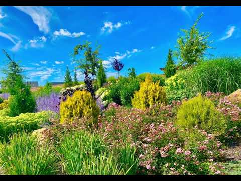 معرض في منتزه الإلهام في التشيك                @wejdenova650 Park inspirace