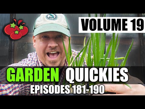 Garden Quickies Volume 19 - Episodes 181 to 190