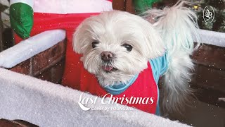 영재(YOUNGJAE)- "Last Christmas (2025 Ver.)" (Original song: Wham!)