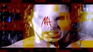 Matt Hardy &quot;2009&quot; Live For The Moment Entrance Video