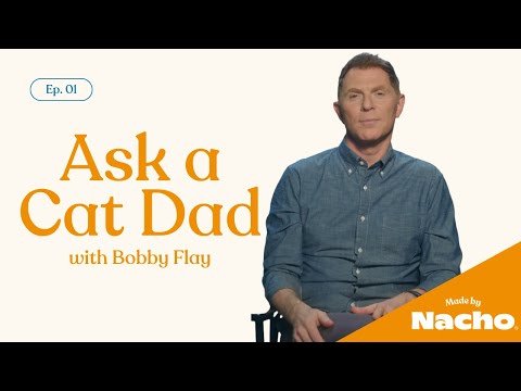 Bobby Flay Answers Your Cat Questions | Made by Nacho