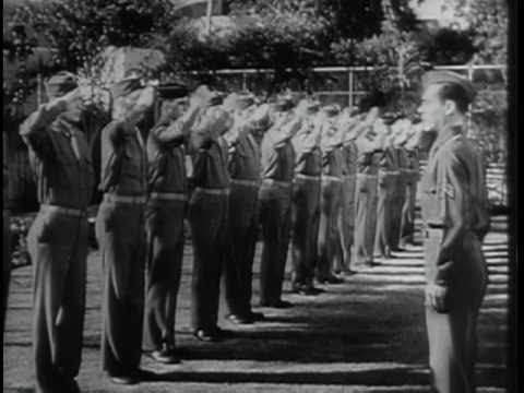 The Work Horse Of The Western Front - The Big Picture