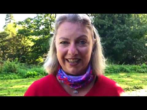 How to meditate despite distractions