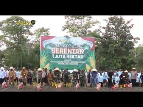 KAPOLDA PAPUA HADIRI KEGIATAN PENANAMAN JAGUNG SERENTAK