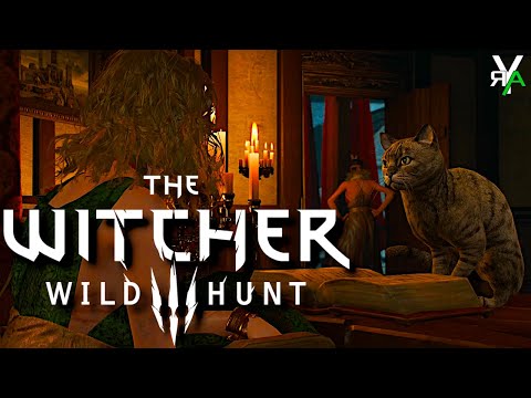 So Much For "Sneaking" In- Witcher III: Wild Hunt PT. 106