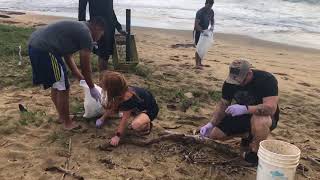 SCPOA Fort Hase Beach Clean Up #2