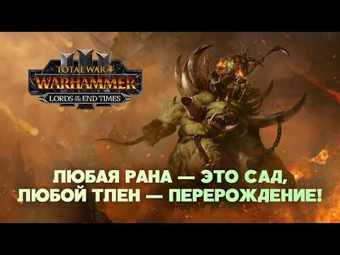 Воины Хаоса и братья Глотт. Разбор фракций Lords of the End Times