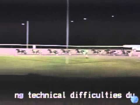 Armbro Flight Stakes 2010 -Buck I St Pat