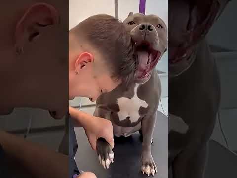 只是剪個指甲，狗狗反應也太誇張😂