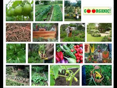 , title : 'Organic Gardening - 10 Practical Steps'