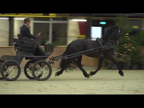 Tymen 503 (Tsjalle 454 x Harmen 424)