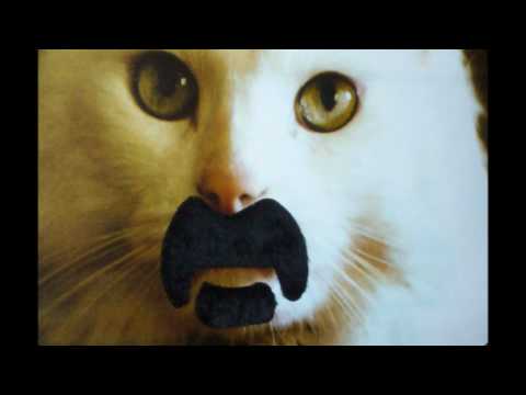 BONNEN ~ G SPOT TORNADO